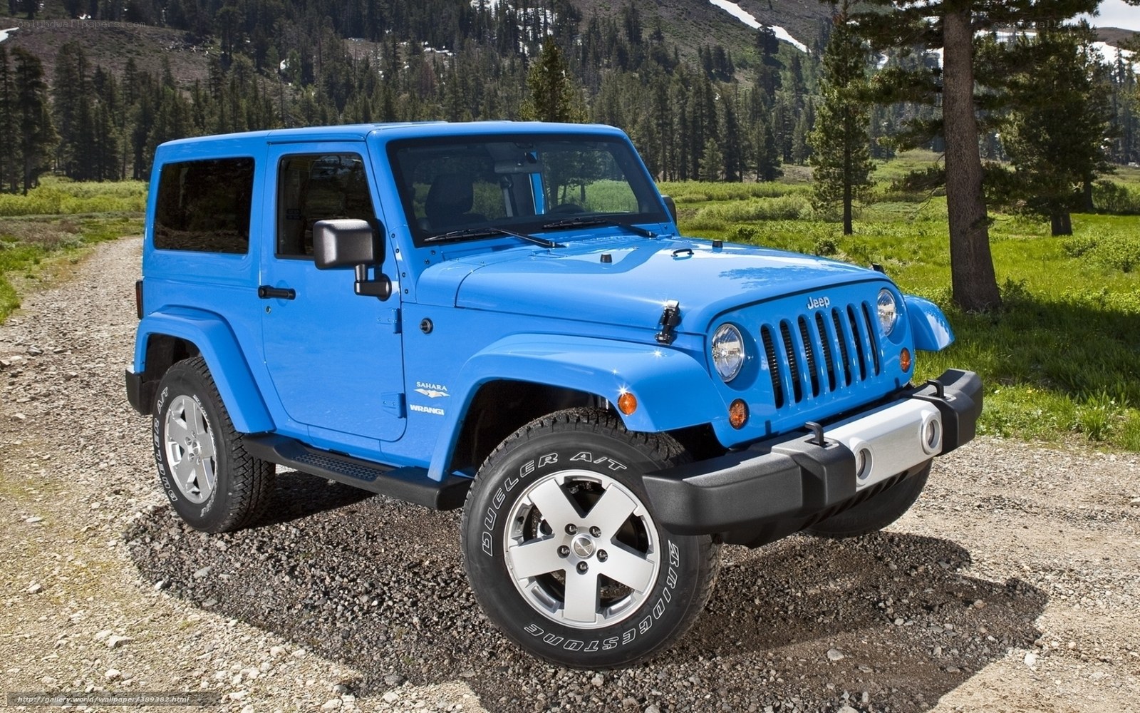 Blue Jeep Wrangler in nature
