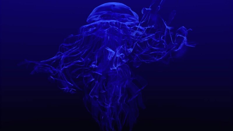 Blue Jellyfish in Water — Serene, Night, Photograph, Tentacles, Dark Background