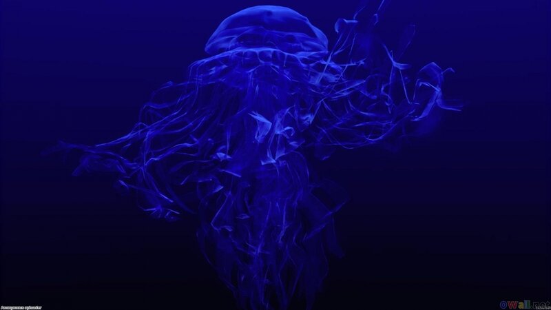 Blue Jellyfish in Water — Serene, Night