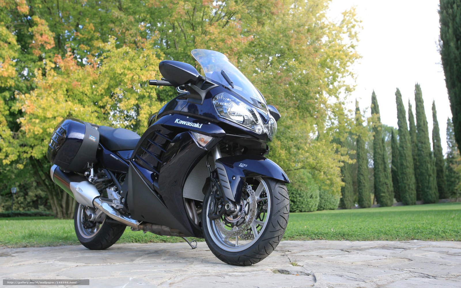 Blue Kawasaki motorcycle in garden