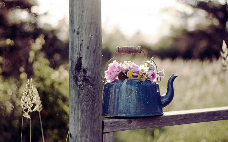 Blue Kettle with Flowers — Serene