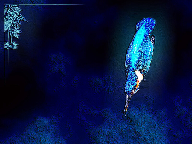 Blue Kingfisher Bird