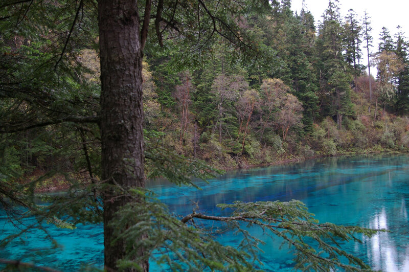 Blue lake in forest