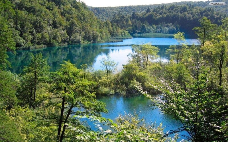 Blue Lake in Forest — Green, Serene