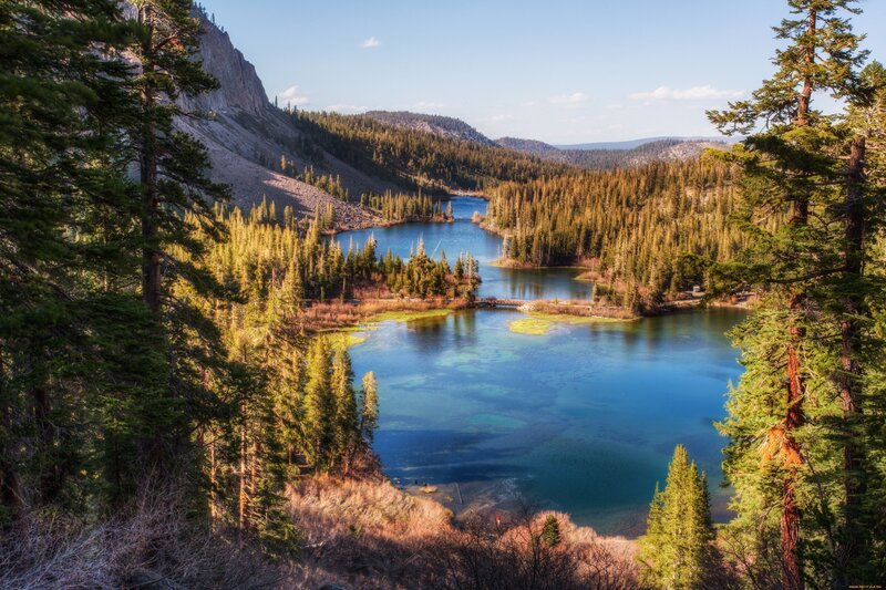 Blue Lake in Forest — Serene, Afternoon, Photograph, Trees, Mountain, Bridge, Green, Brown
