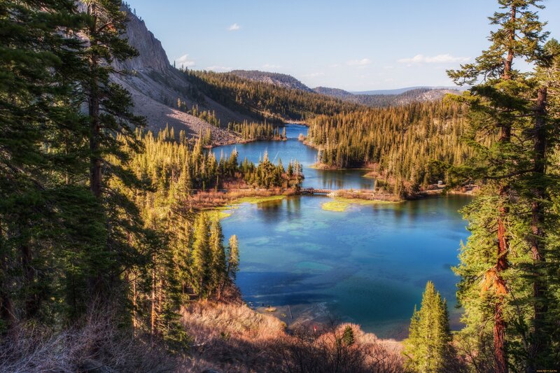 Blue Lake in Forest — Serene, Afternoon, Photograph, Trees, Mountain, Bridge, Green