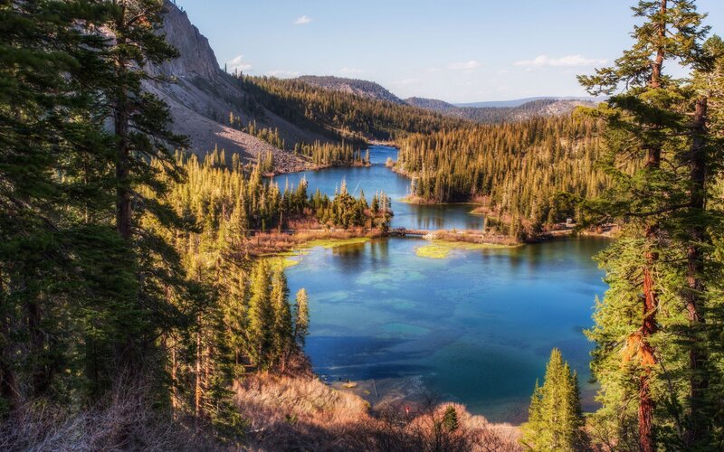 Blue Lake in Forest — Serene, Afternoon, Photograph, Trees, Mountain, Bridge
