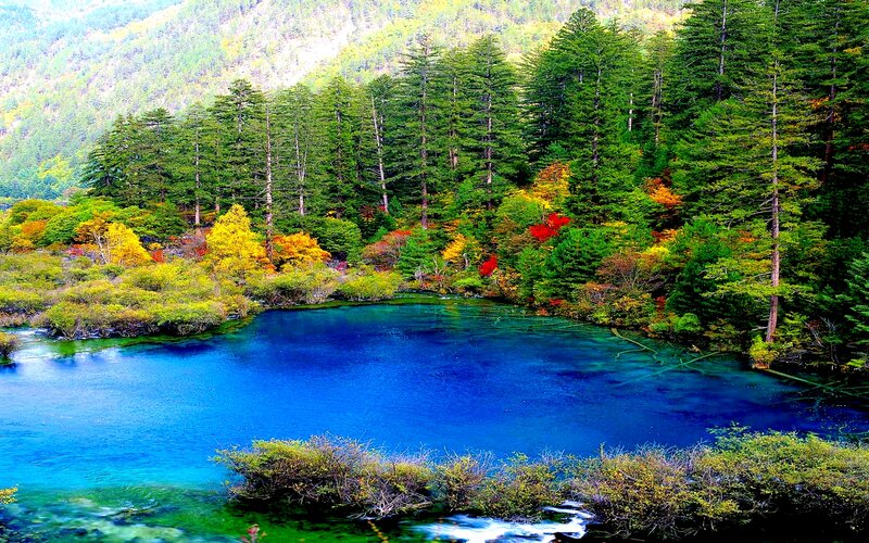 Blue Lake in Forest — Serene, Autumn