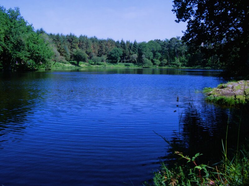 Blue Lake in Forest — Serene
