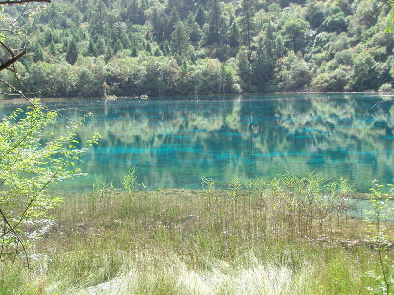 Blue lake in forested area