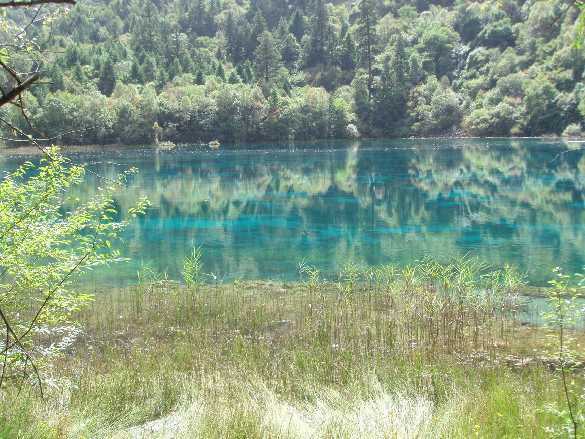 Blue lake in forested area