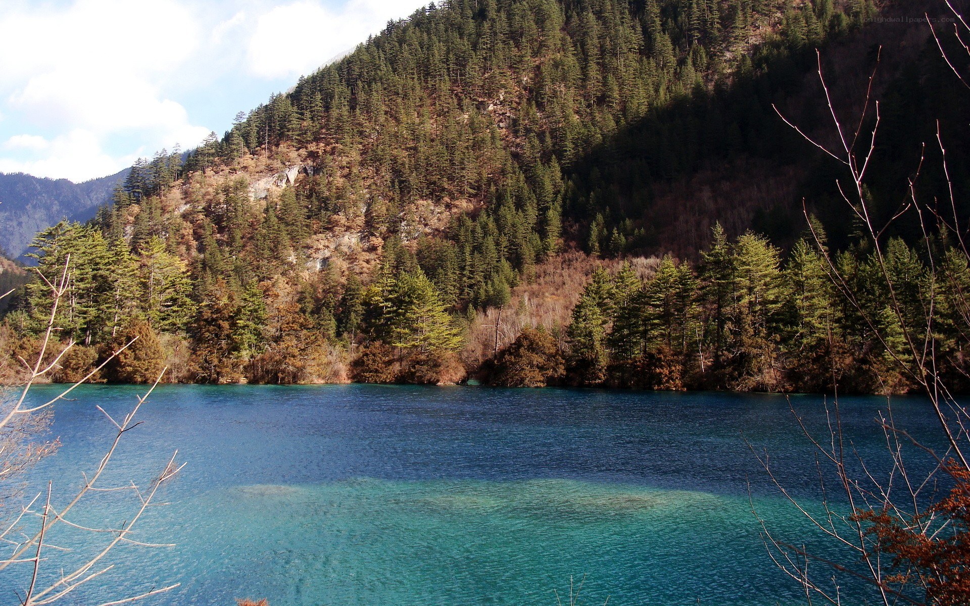 Blue lake in forested mountains