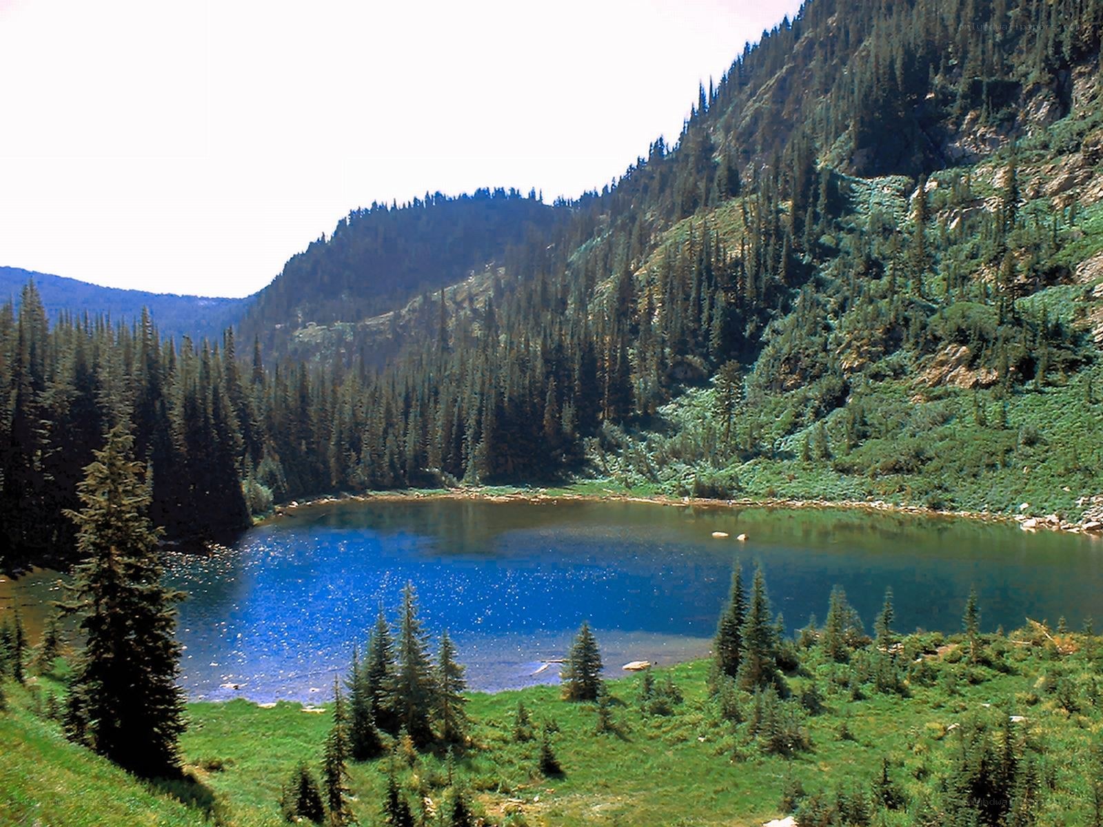 Blue lake in forested mountains