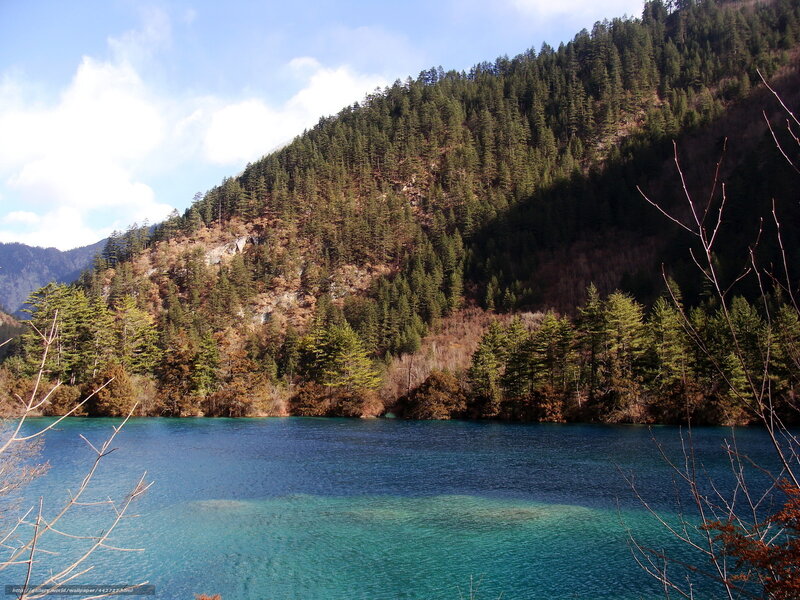 Blue lake in forested mountains