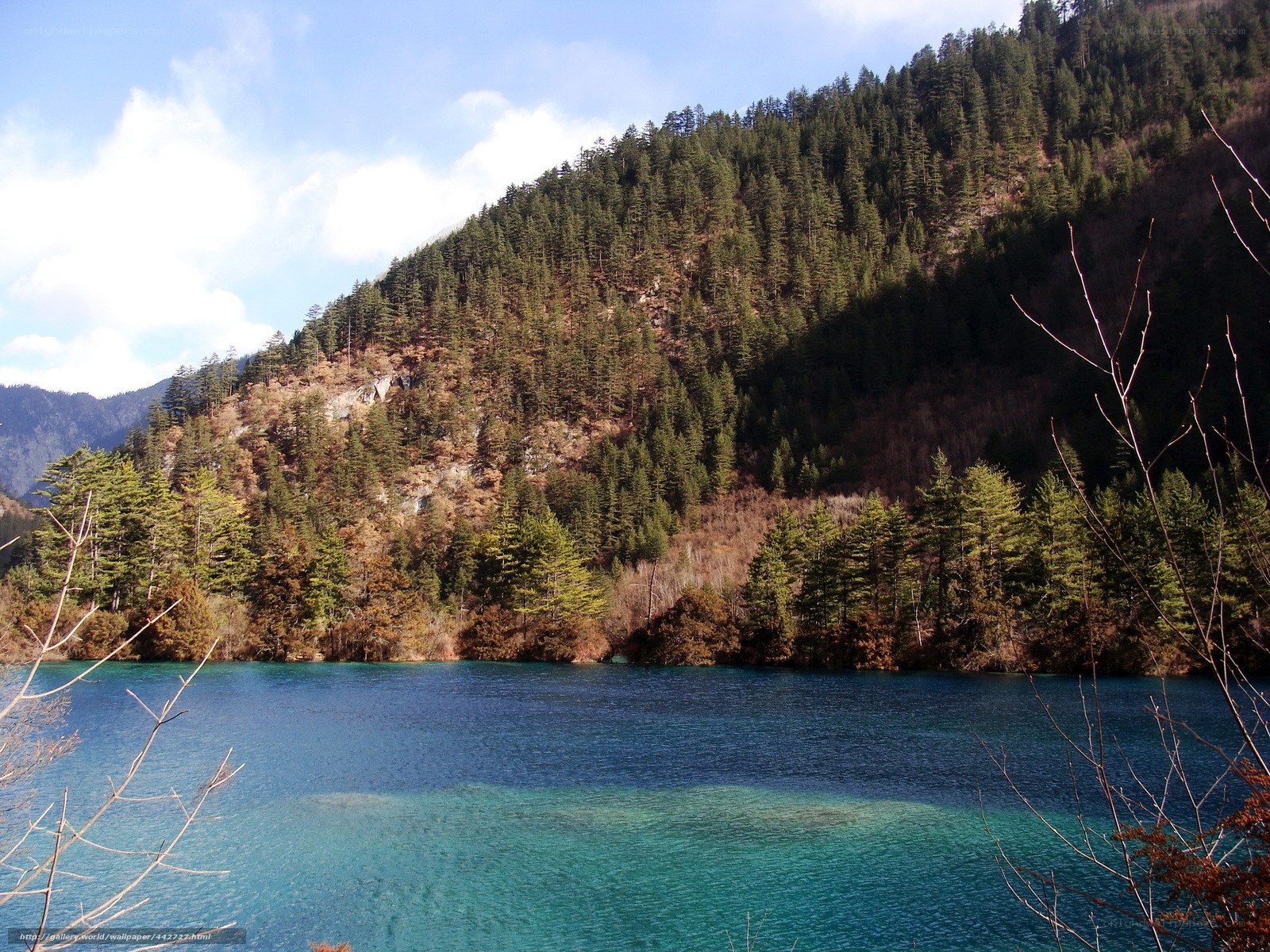 Blue lake in forested mountains