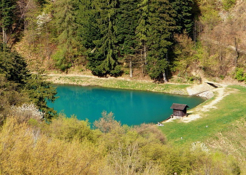 Blue lake in forested valley