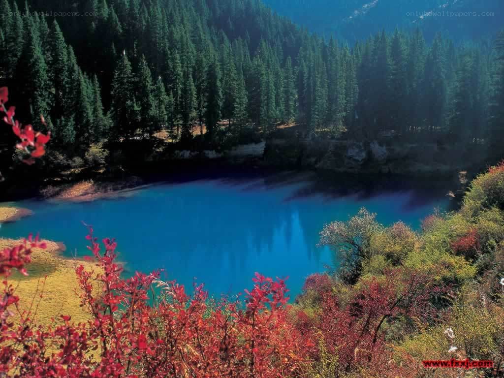Blue lake in forested valley