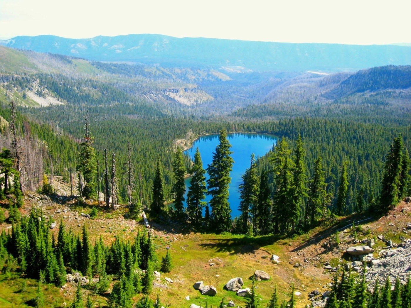 Blue lake in forested valley