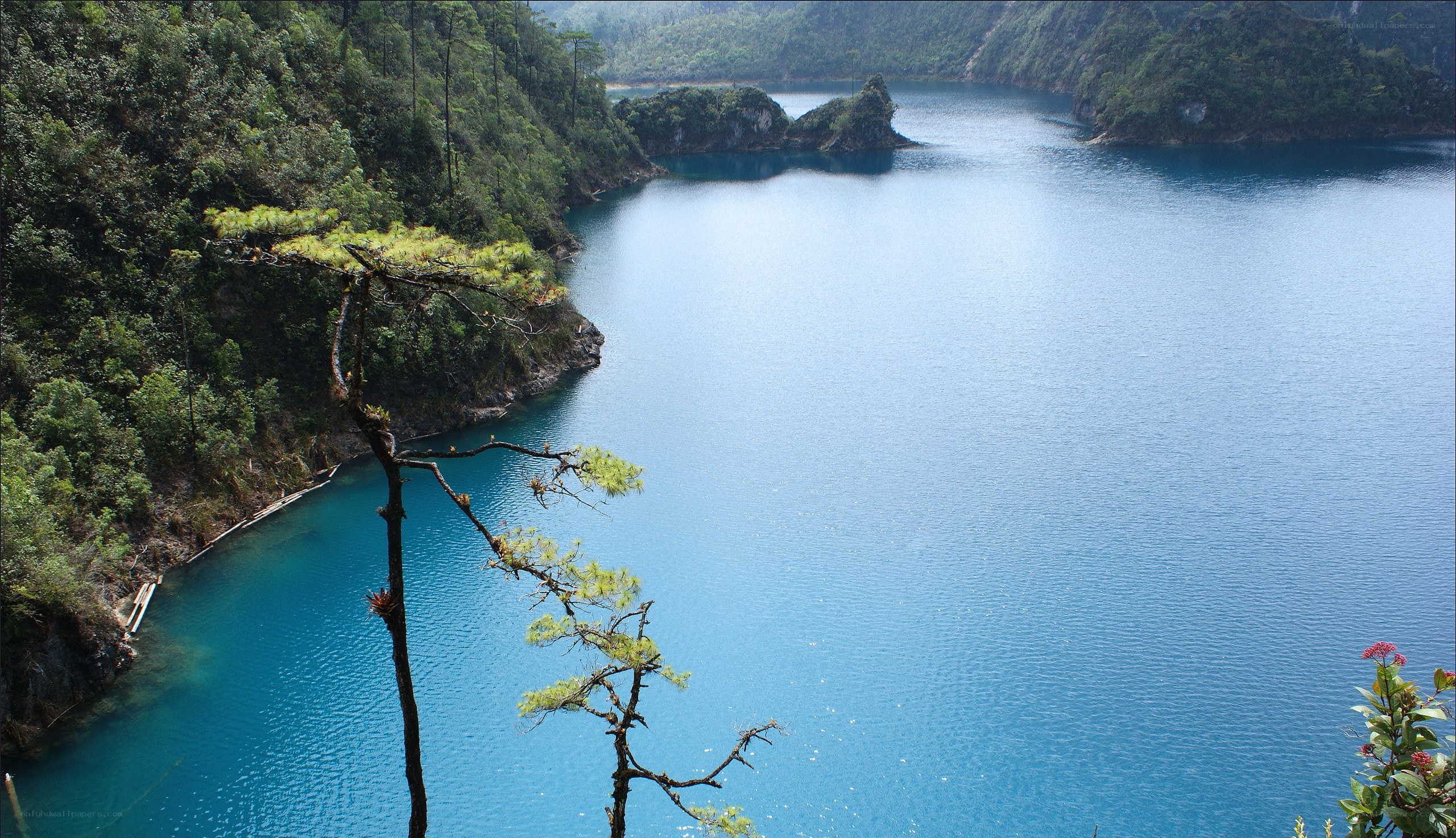 blue lake in forested valley