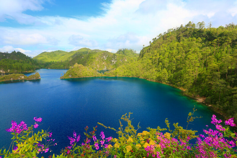 Blue Lake in Mountains — Serene, Afternoon, Photograph, Flowers