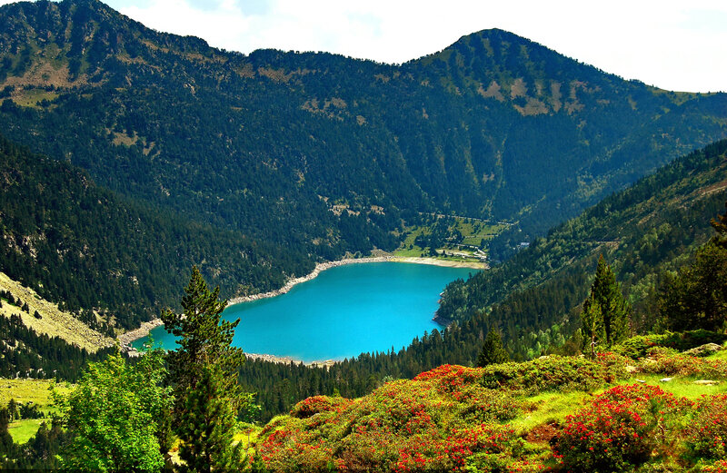 Blue Lake in Mountains — Serene, Afternoon, Photograph, Trees, Flowers