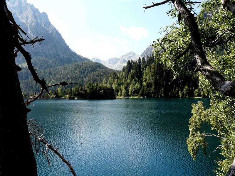 Blue Lake in Mountains — Serene, Afternoon, Photograph, Trees, Green