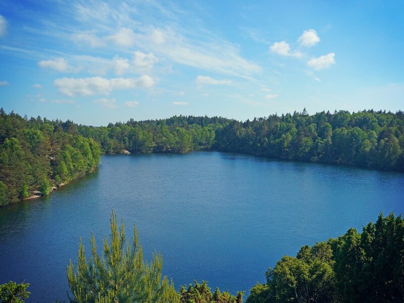 Blue Lake Surrounded by Forest — Serene