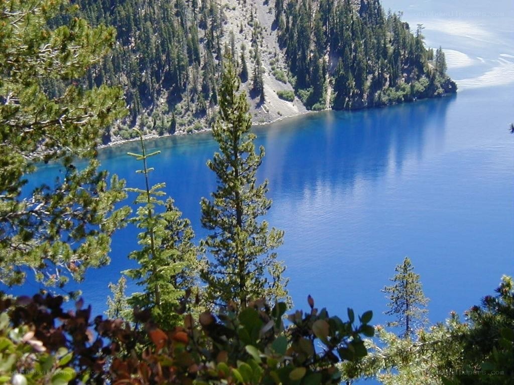 blue lake surrounded by forest