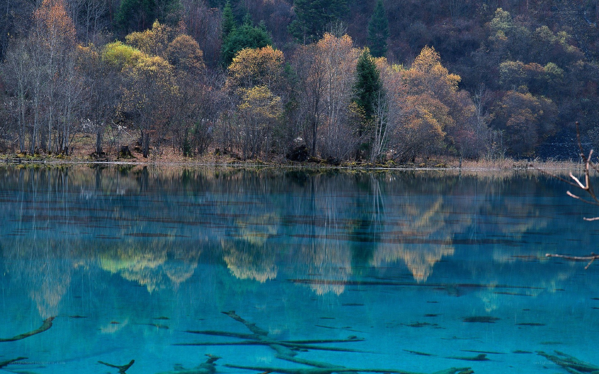 Blue lake with autumn trees