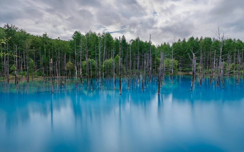 Blue Lake with Dead Trees — Serene, Afternoon