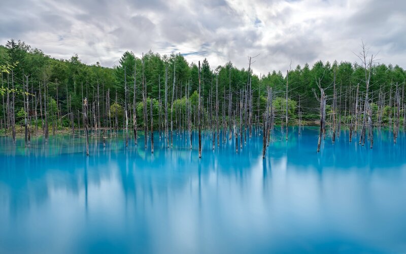 Blue Lake with Dead Trees — Serene