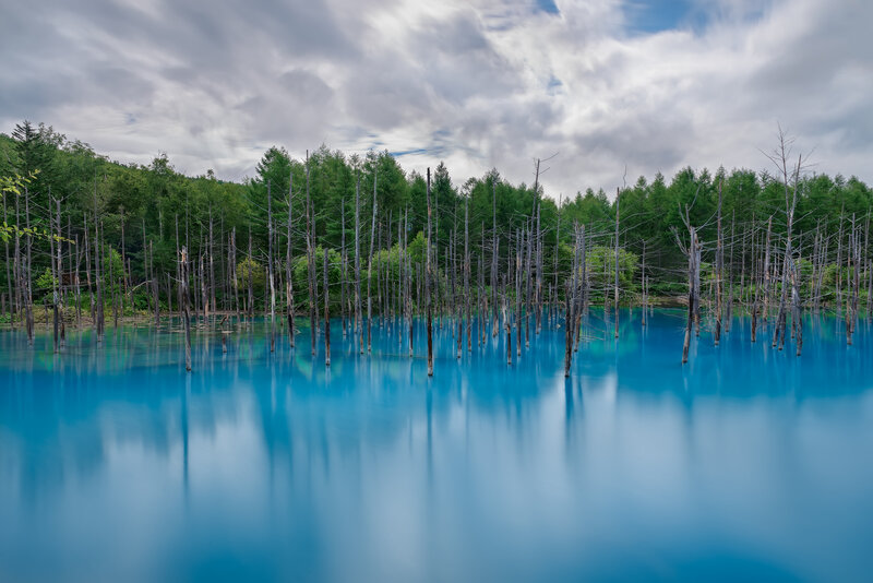 Blue Lake with Dead Trees
