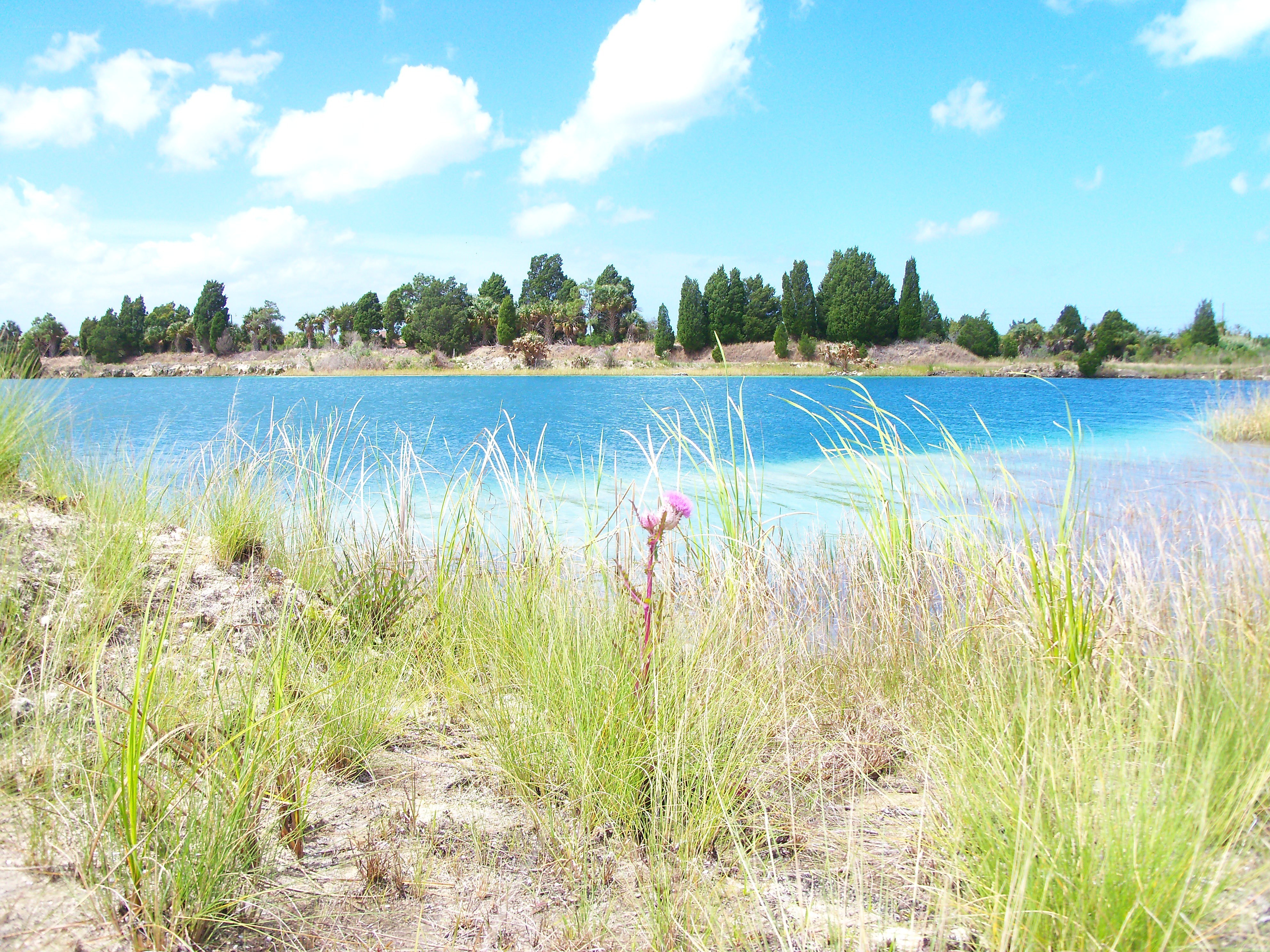 Blue lake with grassy shore