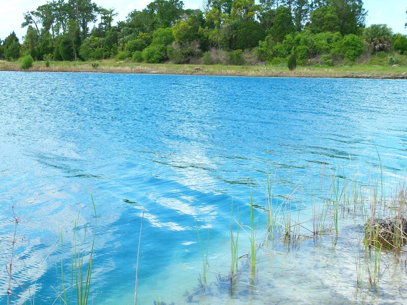 Blue lake with reeds and trees