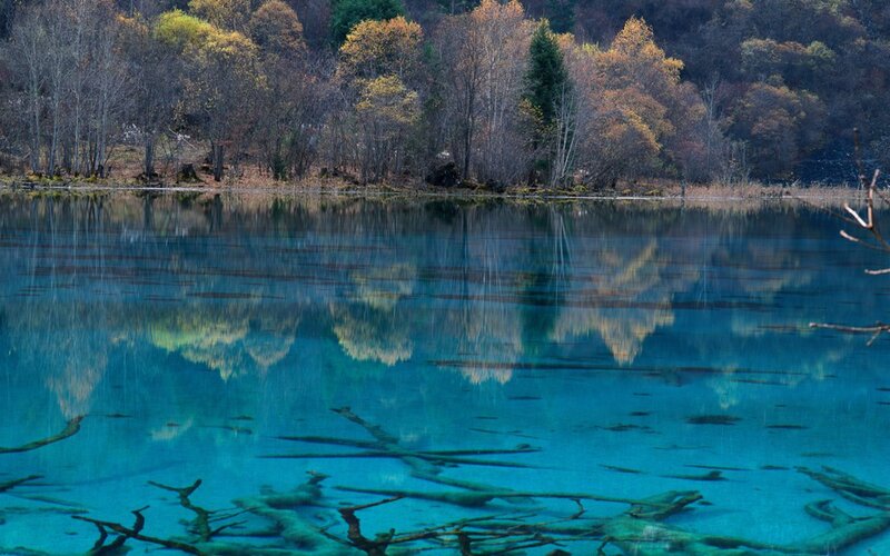 Blue Lake with Tree Reflections