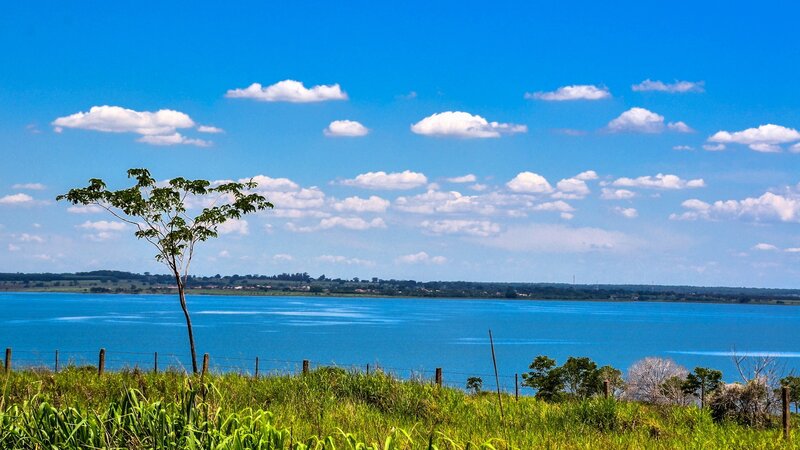 Blue Lake with Tree