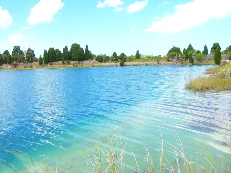 Blue lake with trees in background