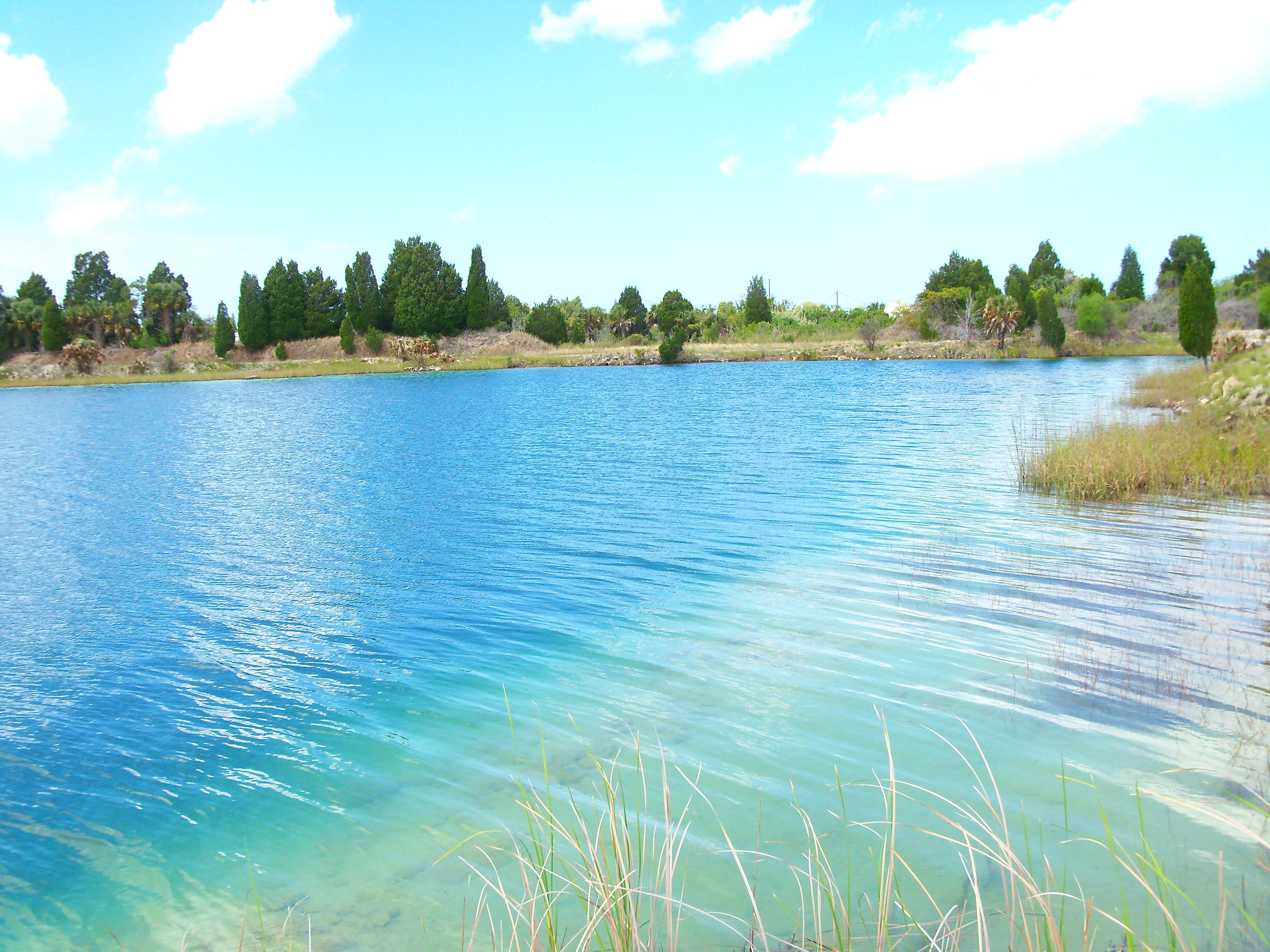 Blue lake with trees in background