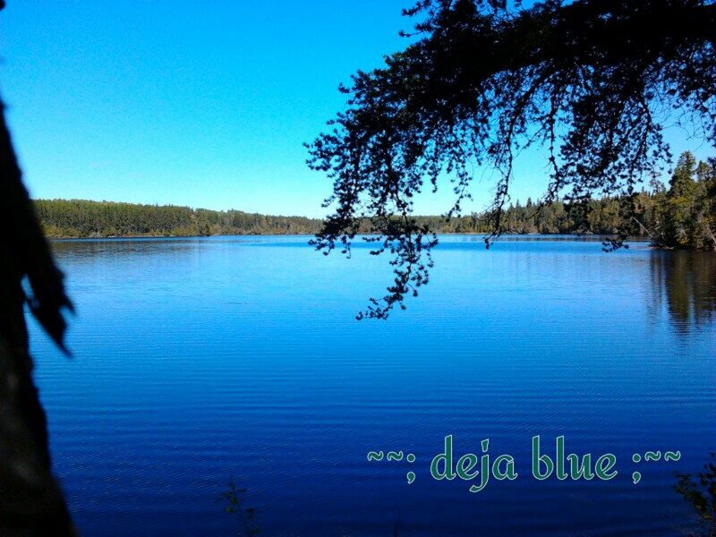 Blue Lake with Trees — Serene, Afternoon, Photograph