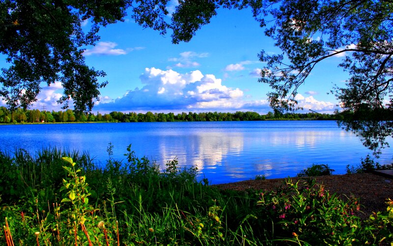 Blue Lake with Trees — Serene, Afternoon