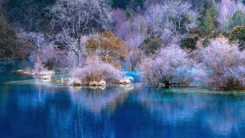 Blue Lake with Trees — Serene, Winter, Photograph