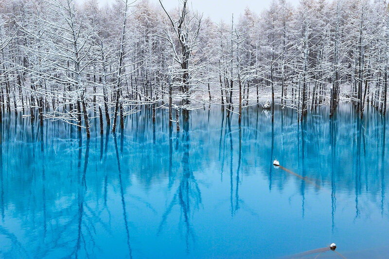 Blue Lake with Trees — Serene, Winter