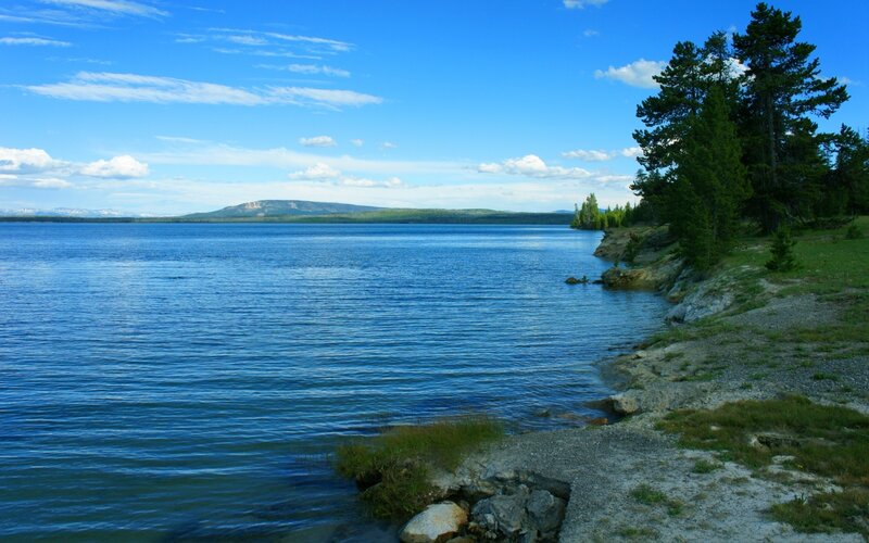 Blue Lake with Trees