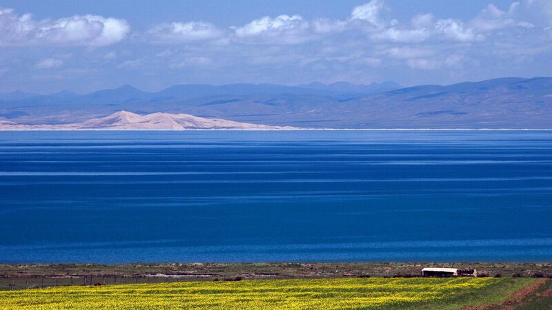 Blue Lake with Yellow Flowers