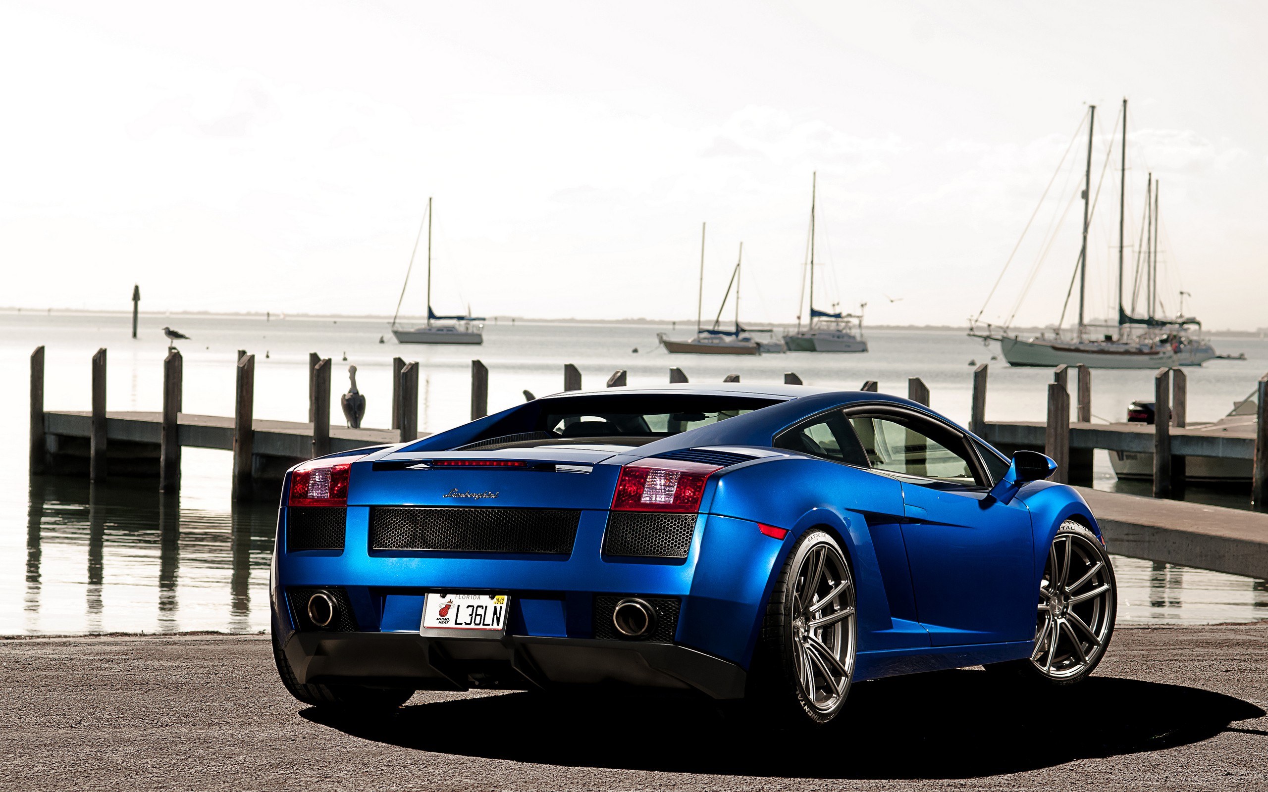 Blue Lamborghini at a marina