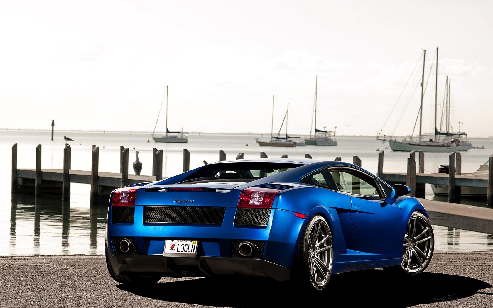 Blue Lamborghini at marina