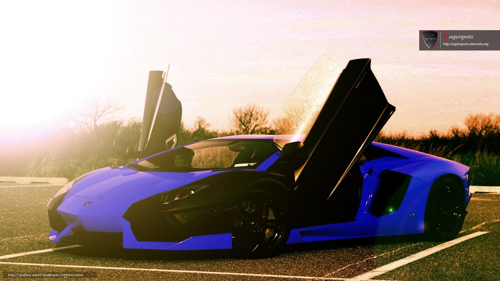 blue lamborghini at sunset