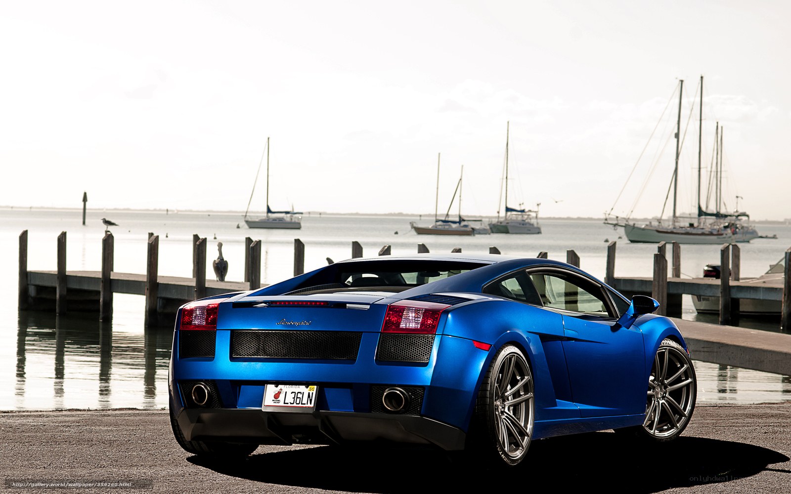 Blue Lamborghini at the marina