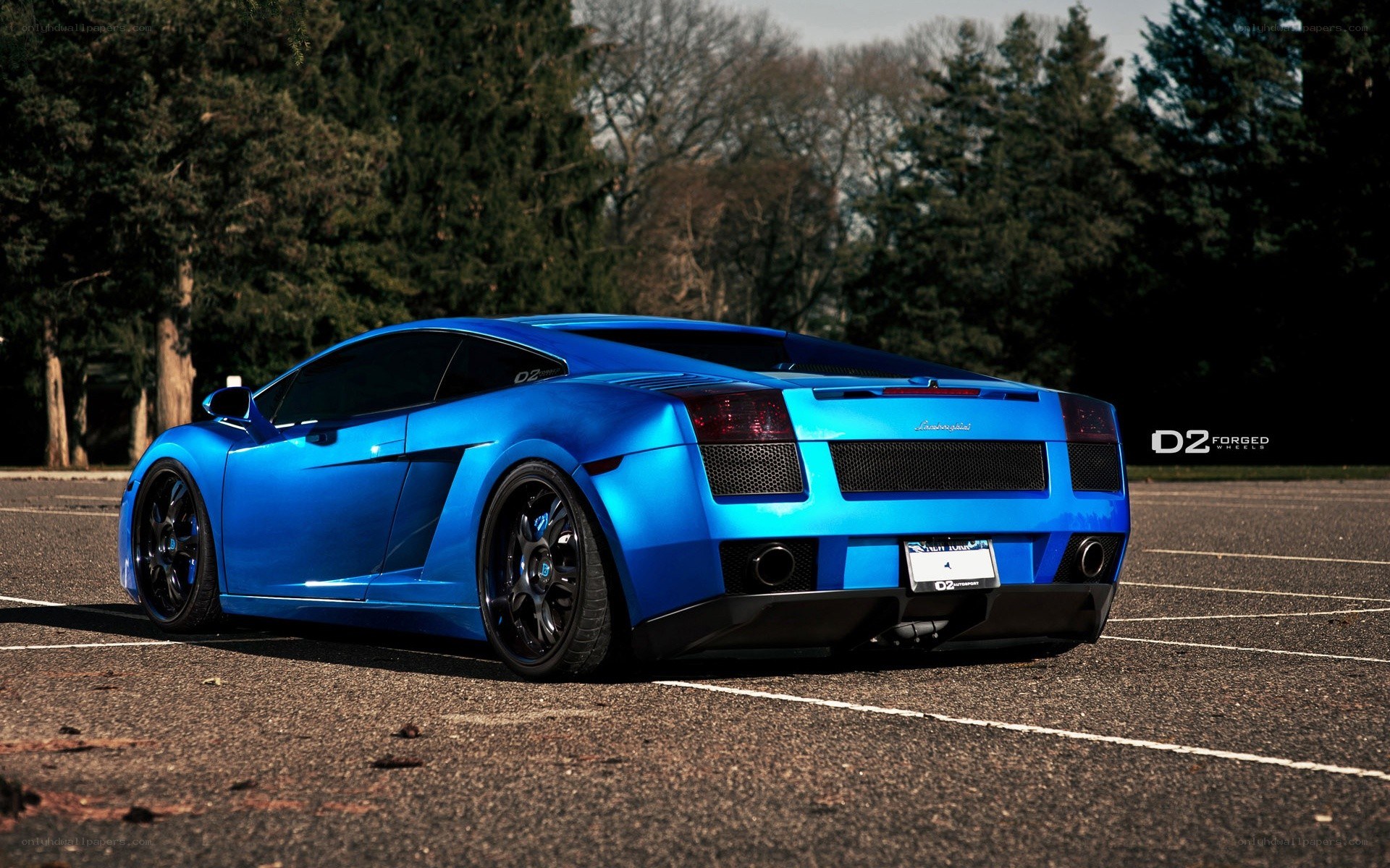 blue lamborghini gallardo