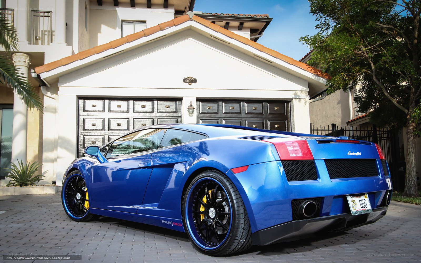 Blue Lamborghini in driveway